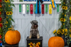 10-22-23-ScentWork-1681