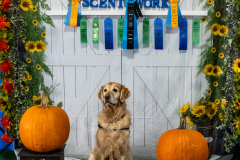 10-22-23-ScentWork-1692