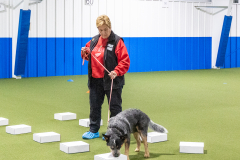 10-22-23-ScentWork-714