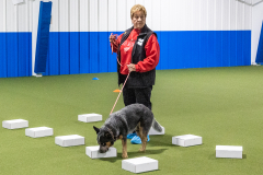 10-22-23-ScentWork-715