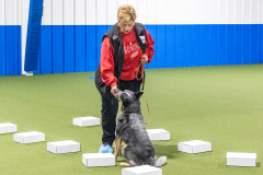 10-22-23-ScentWork-716