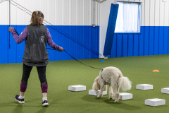 10-22-23-ScentWork-721