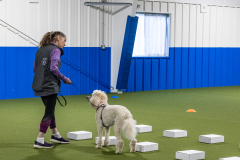 10-22-23-ScentWork-722