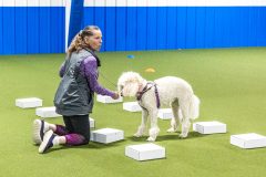 10-22-23-ScentWork-730