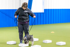 10-22-23-ScentWork-738