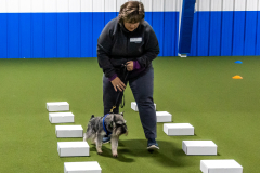 10-22-23-ScentWork-744