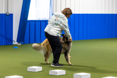 10-22-23-ScentWork-751