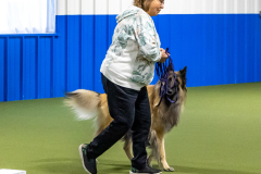 10-22-23-ScentWork-752