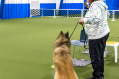 10-22-23-ScentWork-753