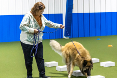 10-22-23-ScentWork-757