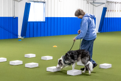 10-22-23-ScentWork-767