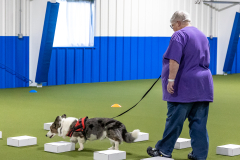 10-22-23-ScentWork-776