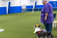10-22-23-ScentWork-782