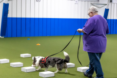 10-22-23-ScentWork-783