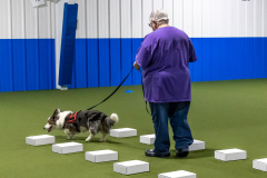 10-22-23-ScentWork-784