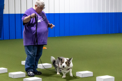 10-22-23-ScentWork-786