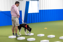 10-22-23-ScentWork-797