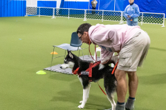 10-22-23-ScentWork-803