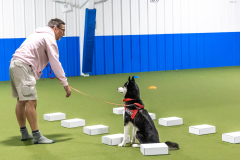 10-22-23-ScentWork-808