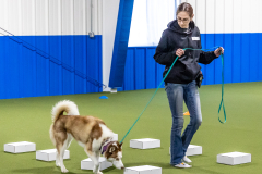 10-22-23-ScentWork-817