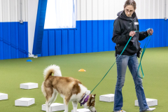 10-22-23-ScentWork-818