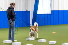 10-22-23-ScentWork-820