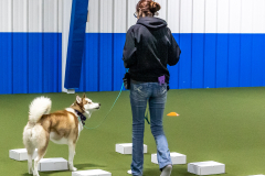 10-22-23-ScentWork-825