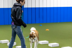 10-22-23-ScentWork-831