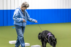 10-22-23-ScentWork-838