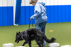 10-22-23-ScentWork-840