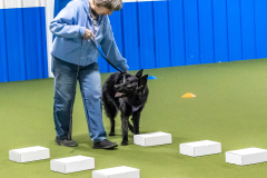 10-22-23-ScentWork-842
