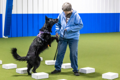 10-22-23-ScentWork-845