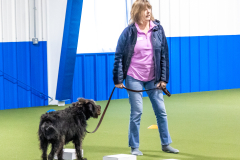 10-22-23-ScentWork-852