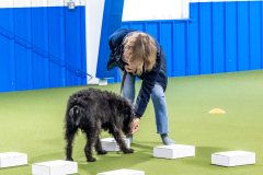 10-22-23-ScentWork-853