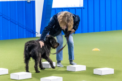 10-22-23-ScentWork-854