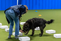 10-22-23-ScentWork-860
