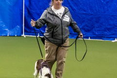 10-22-23-ScentWork-862