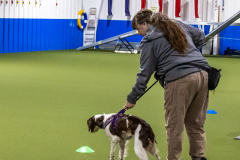 10-22-23-ScentWork-864