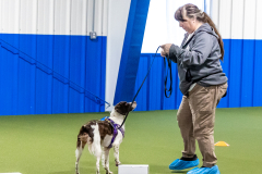 10-22-23-ScentWork-869