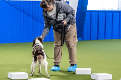 10-22-23-ScentWork-871