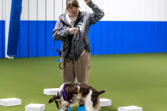 10-22-23-ScentWork-877