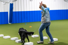 10-22-23-ScentWork-894