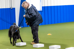 10-22-23-ScentWork-904