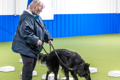 10-22-23-ScentWork-907