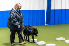 10-22-23-ScentWork-917