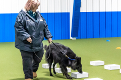 10-22-23-ScentWork-918