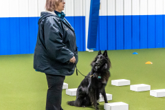 10-22-23-ScentWork-919