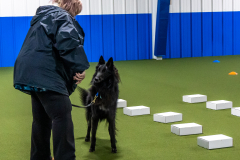 10-22-23-ScentWork-922