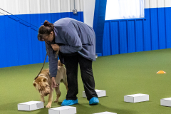10-22-23-ScentWork-930