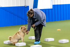 10-22-23-ScentWork-931